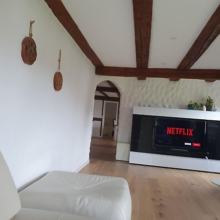 3 Bedroom Swiss House On 3 Floors Oberglatt Номер фото