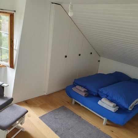 3 Bedroom Swiss House On 3 Floors Oberglatt Номер фото