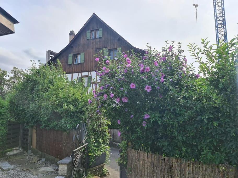 3 Bedroom Swiss House On 3 Floors Oberglatt Экстерьер фото