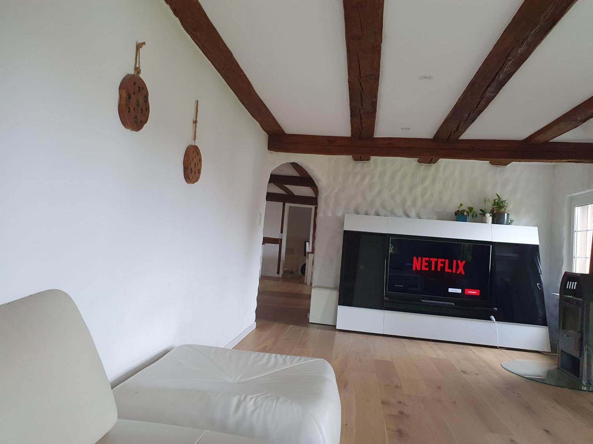 3 Bedroom Swiss House On 3 Floors Oberglatt Номер фото